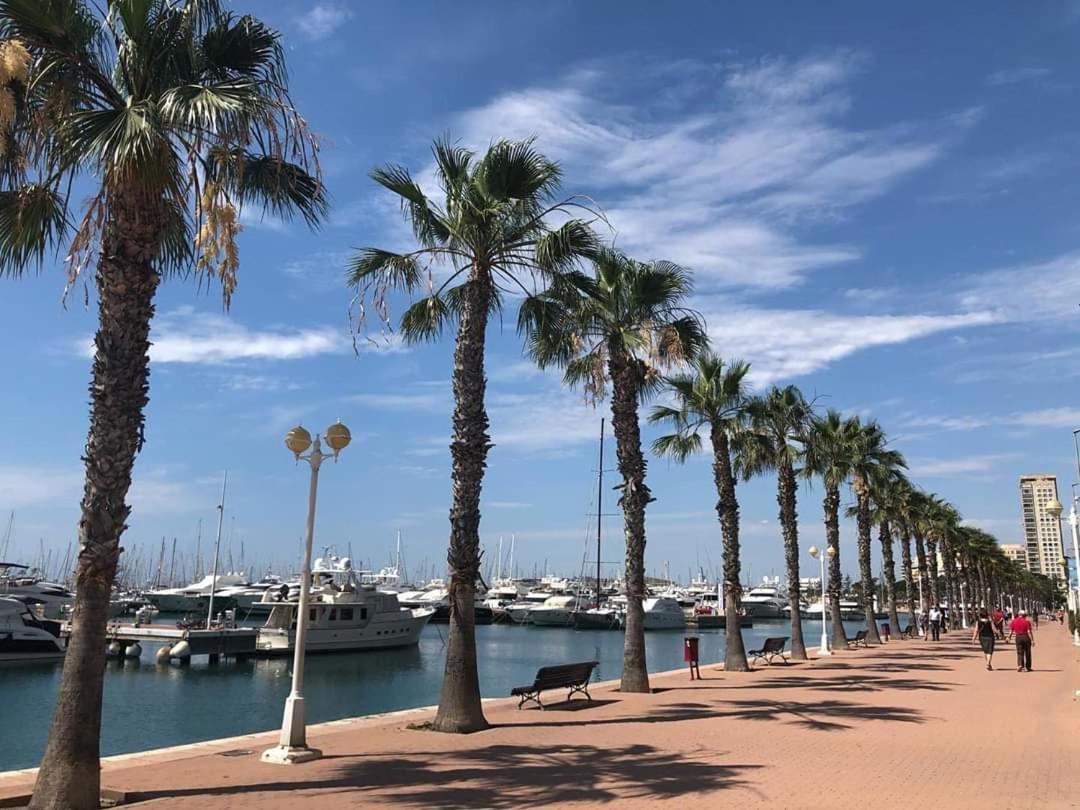 Estudio De Lujo Casaturis En El Corazon De Alicante A114 Kültér fotó