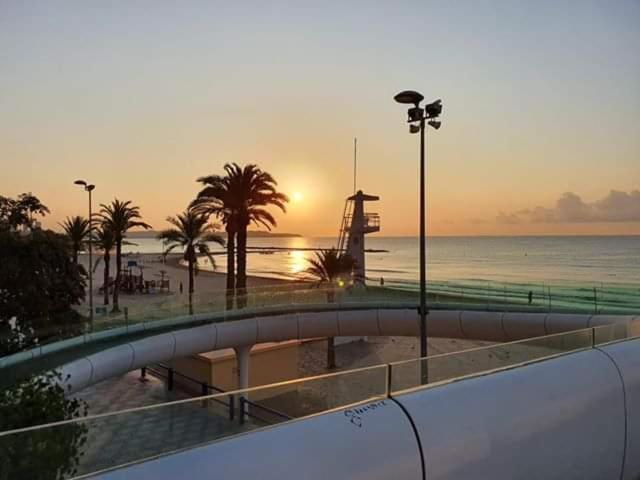 Estudio De Lujo Casaturis En El Corazon De Alicante A114 Kültér fotó